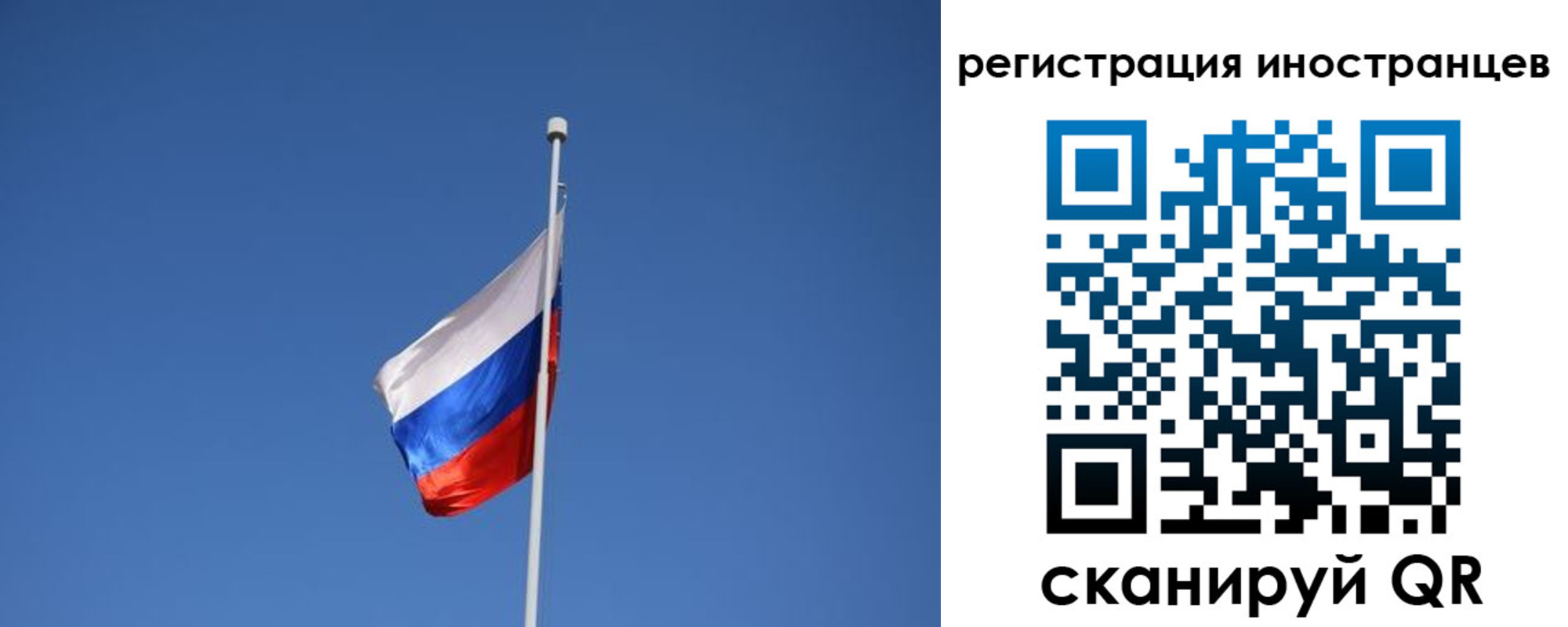 где прописаться в Нелидово